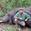 這個不斷在非洲獵殺野象的男子下場超戲劇性，他的死法讓大家都覺得老天有在看他的惡行！