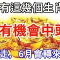 家裡有這幾個生肖嗎？6月有機會中頭獎！（請轉走，6月會轉來好運）