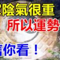 你家陰氣很重，所以運勢很差，不信你看。