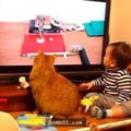 志趣相投的貓咪和寶寶正專注地看著電視…最後的一個動作肯定讓你會心一笑。
