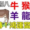 9月27日（八月初八）生肖運勢！牛、猴、雞、羊、龍、馬！必轉！鴻運當頭！