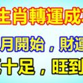 這3生肖轉運成功，從11月開始，財運上等，福氣十足，旺到年底