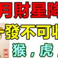 11月財星降臨，這幾個生肖一發不可收拾！