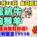 今天11月11日,每日旺財提示：虎龍雞牛，蛇狗猴羊。黴運消散旺財運！求財順利留言11118必轉！