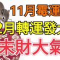 這3個生肖，11月黴運纏身，12月轉運發大財，年末財大氣粗！