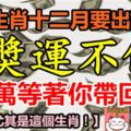 這些生肖2018年十二月要出運了！大獎運不停！500萬等著你帶回家！【尤其是這個生肖！】