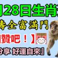 12月28日生肖運勢，福祿壽全富滿門！『轉發分享好運自來』