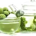 綠蘿花與枸杞子一起泡茶，對糖尿病有益嗎？