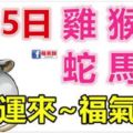 2月5日生肖運勢_雞、猴、鼠大吉