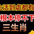 4月生活到處都有驚喜，好事根本停不下來的生肖