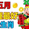 五月財運最好的生肖(2018)