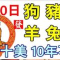 7月10日生肖運勢_狗、豬、蛇大吉