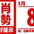 12生肖天天生肖運勢解析（8月8日）