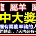 你家裡有屬龍羊豬的人嗎？今天請為他們轉走，7天內必有一大財！