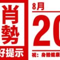 12生肖天天生肖運勢解析（8月20日）