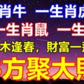 9月枯木逢春，財富一飛沖天，8方聚大財，日子不苦只甜的生肖