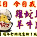 9月1日，今日我最旺！雞蛇馬羊牛鼠兔！【22988】越早打開越靈驗！點個讚吧！