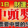 10月1日，必中頭獎的6大生肖，快去買彩票吧！