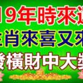 2019年時來運轉，3生肖來喜又來財，發橫財中大獎