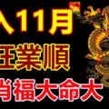 3生肖福大命大，進入11月，財旺業順