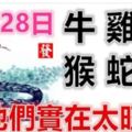 10月28日生肖運勢_牛、雞、龍大吉