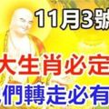 11月3號開始，這9大生肖必定翻身