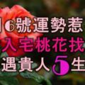 11月6號運勢惹不起，橫財入宅，桃花找上門，出門遇貴人的5大生肖！