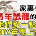 家裡有這五大生肖，2019年馬上有錢！