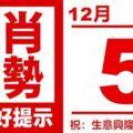 生肖運勢，天天好提示（12月05日）