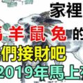 家裡有這五大生肖，幫他們接接財，2019年馬上有錢！