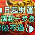 1月1日起財運亨通，聲名鵲起一步登天，橫財躲不過的5大生肖！