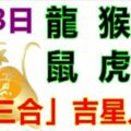 1月3日生肖運勢_龍、猴、牛大吉