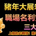 豬年大展宏圖，職場名利雙收的三大生肖