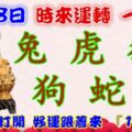 1月8日時來運轉一路發，兔虎猴狗蛇龍，88秒內打開，好運跟著來『16888』