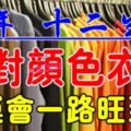 2019年十二生肖穿對顏色衣服，財運會一路旺到底【屬豬的人禁忌黃色】