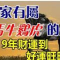 家有屬【猴馬牛雞虎】的人2019年財運到