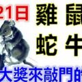 2月21日生肖運勢_雞、鼠、猴大吉