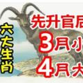 6大生肖：3月小富，4月大貴