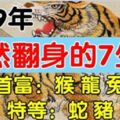 2019年十二生肖財運排行榜，前3名厲害了