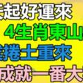 明天起好運來，4生肖東山再起，事業捲土重來，生活大喜特喜