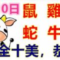 4月10日生肖運勢_鼠、雞、猴大吉