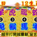 2019年5月21日，星期二，農歷四月十七（己亥年己巳月戊午日）