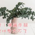 獅子座：偶爾示弱，其實沒什麼大不了