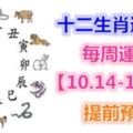 十二生肖運勢：每周運勢【10.14-10.20】提前預知！