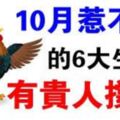 喜上加喜！6生肖「惹不起」10月有貴人撐腰，福氣伴隨日子無憂