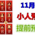 12生肖，11月份小人預警提前預報！