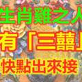 生肖雞之人有「三囍」，還不快點出來接「囍」！