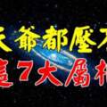 這7大屬相，一旦爆發，就是富貴上等人