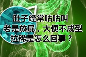 肚子經常咕咕叫，老是放屁，大便不成型，拉稀是怎麼回事？