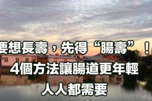 要想長壽，先得「腸壽」！4個方法讓腸道更年輕,人人都需要